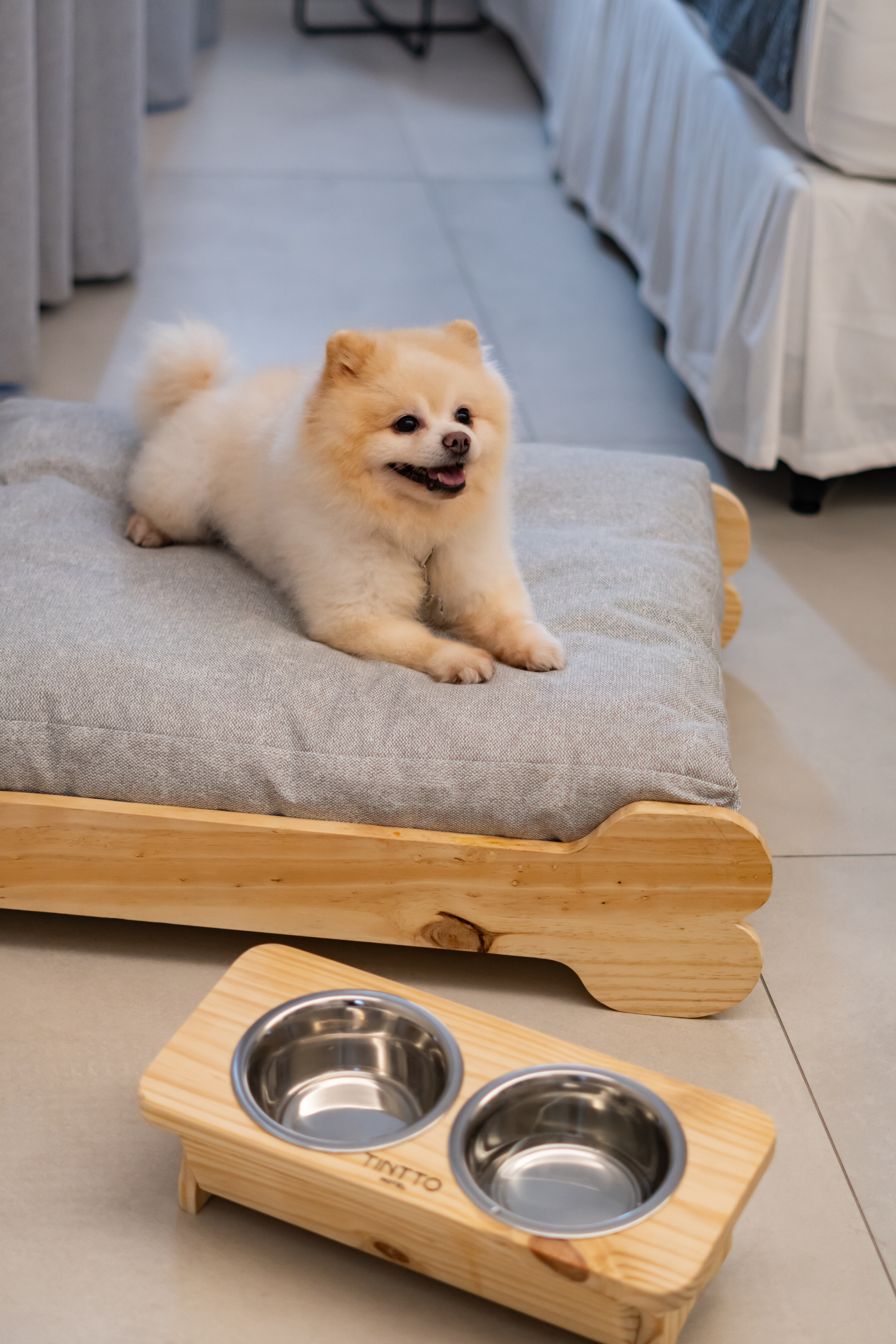 Pet Friendly